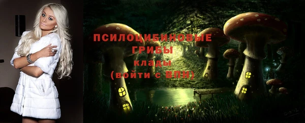 дмт Алексин