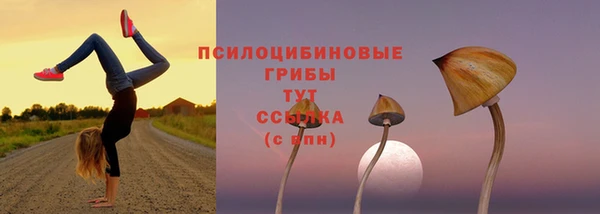 гидра Краснотурьинск