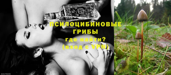 МДПВ Алзамай